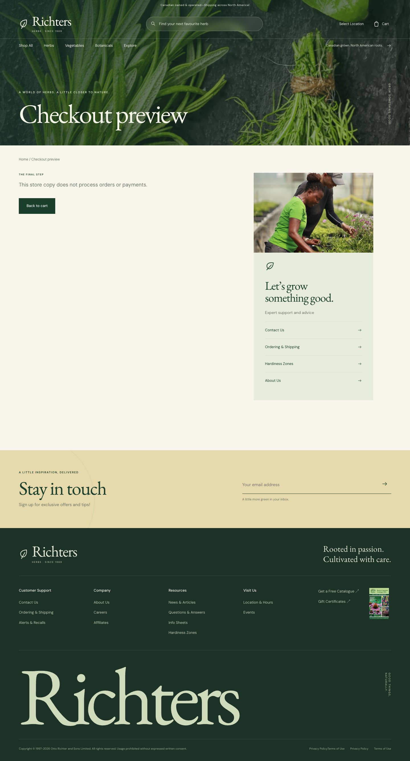 Checkout preview · immersive · desktop