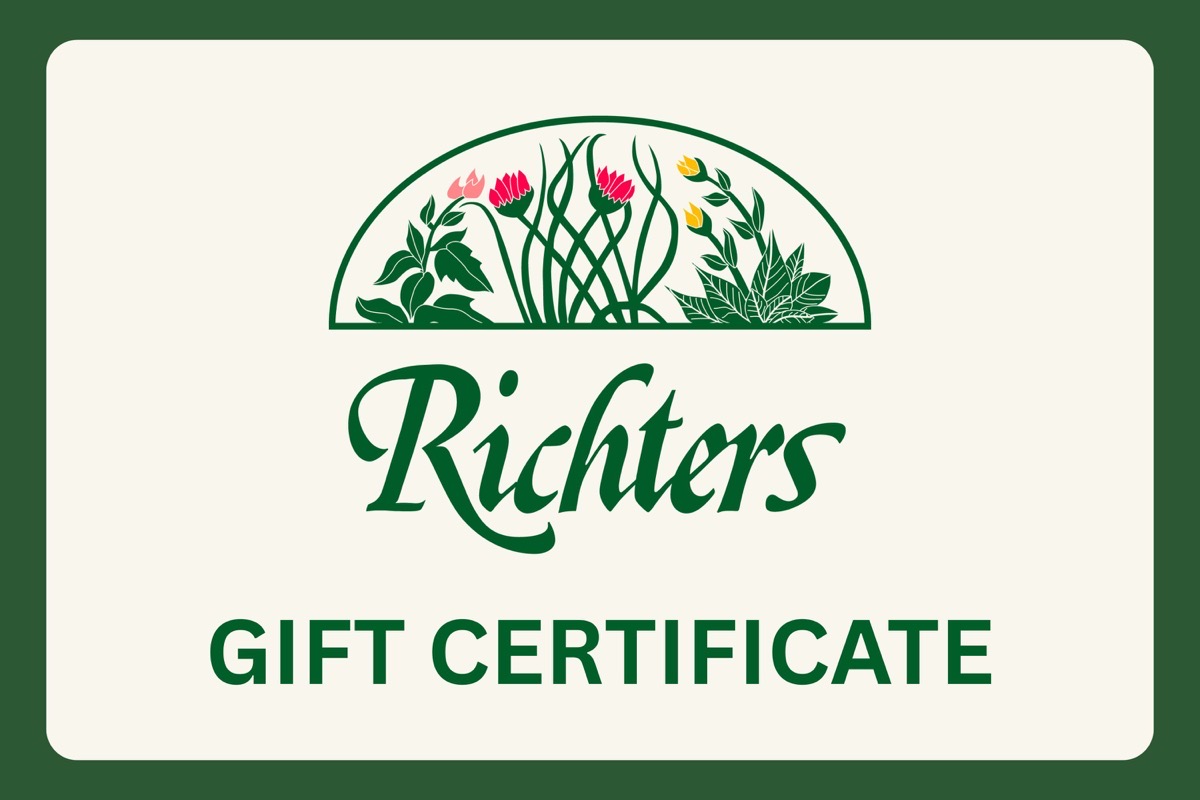 Gift Certificate